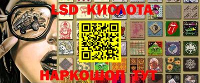 соль ск Новодвинск