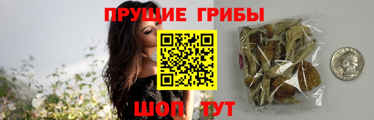 Галлюциногенные грибы Psilocybe  купить наркотики сайты  Сибай  Вход с VPN 